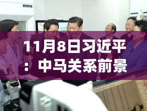 11月8日習(xí)近平：中馬關(guān)系前景光明 未來可期，11月8日習(xí)近平主席談中馬關(guān)系，未來光明，前景可期