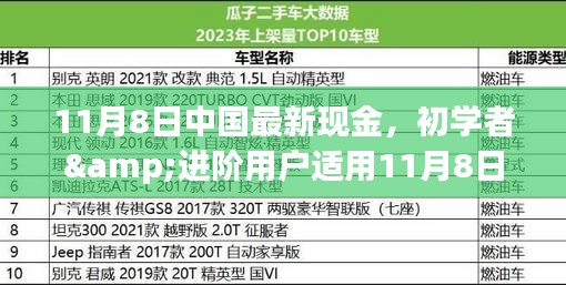 初學(xué)者與進(jìn)階用戶指南，11月8日中國最新現(xiàn)金操作指南及任務(wù)完成步驟詳解