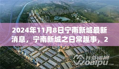 寧南新城日常趣事與陽光溫情，2024年11月8日最新消息