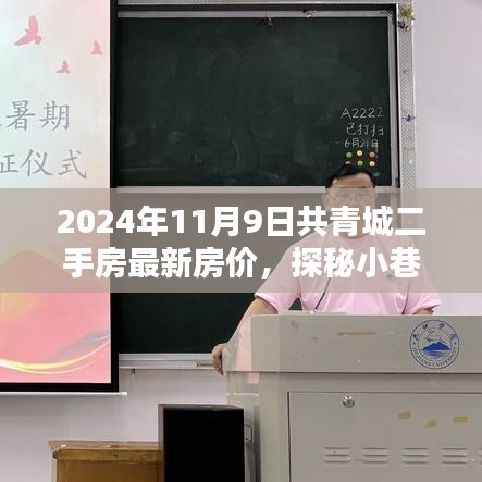 2024年共青城二手房最新房價(jià)揭秘，小巷特色小店探秘