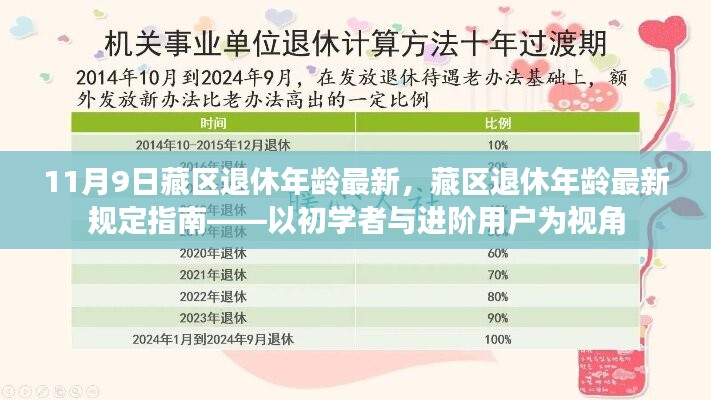 藏區(qū)退休年齡最新規(guī)定指南，從初學(xué)者到進(jìn)階用戶的視角解析（11月9日更新）