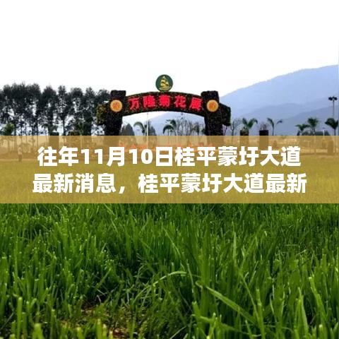 桂平蒙圩大道最新動(dòng)態(tài)獲取全攻略，輕松掌握最新消息動(dòng)態(tài)