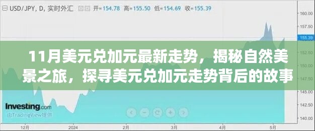 揭秘美元兌加元走勢背后的故事，自然美景之旅啟程，探尋內心的寧靜與平和之旅