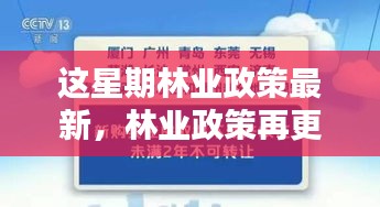 林業(yè)政策最新動向，本周更新及其時代影響力分析