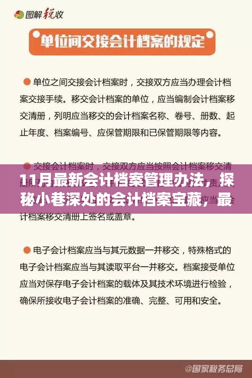 探秘最新會計檔案管理辦法，小巷深處的寶藏與獨特故事揭秘