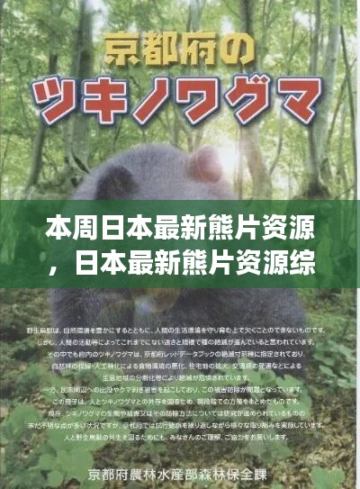 日本最新熊片資源綜述，背景、進(jìn)展與特定領(lǐng)域地位探討