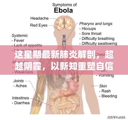 超越陰霾，最新肺炎解剖啟示錄，重塑信心與新知的探索