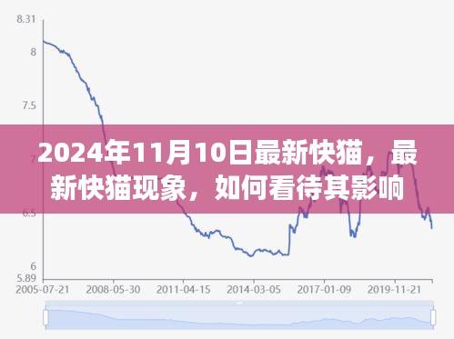 最新快貓現(xiàn)象，影響與未來發(fā)展觀察（2024年觀察點）