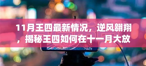 揭秘王四11月逆風翱翔之路，如何大放異彩，你也可以閃耀光芒？