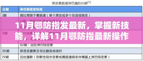 11月鄂防指最新操作流程步驟指南，掌握新技能的詳解