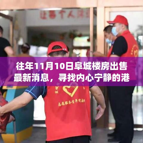 阜城樓房最新出售消息，尋找心靈寧靜的自然探索之旅