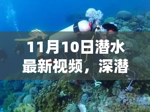 揭秘深潛新紀(jì)元，潛水最新視頻的時(shí)代意義與影響（11月10日更新）