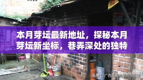 探秘本月芽壇新坐標(biāo)，巷弄深處的獨(dú)特小店最新地址揭秘