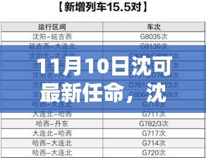 沈可新任命的背后，背景、影響與時(shí)代地位分析（最新更新）