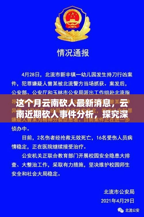 云南砍人事件最新消息，深層原因探究與各方觀點分析