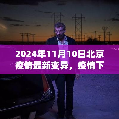 北京疫情最新變異下的溫情與友情日常，2024年11月10日最新觀察