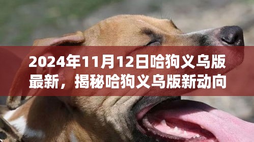 揭秘哈狗義烏版新動向，深度解讀與最新動態(tài)（2024年11月12日）