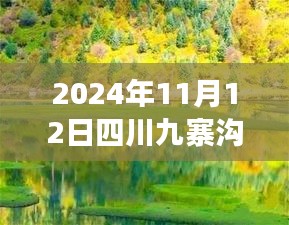 2024年11月12日四川九寨溝最新情況，自然恢復(fù)與旅游新篇章開啟