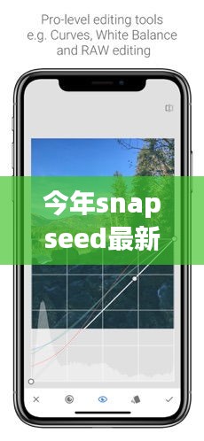 Snapseed最新版下載，回顧發(fā)展歷程，時(shí)代印記下的影響與地位