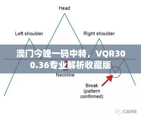 澳門今晚一碼中特，VQR300.36專業(yè)解析收藏版