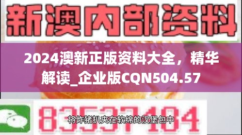 2024澳新正版資料大全，精華解讀_企業(yè)版CQN504.57