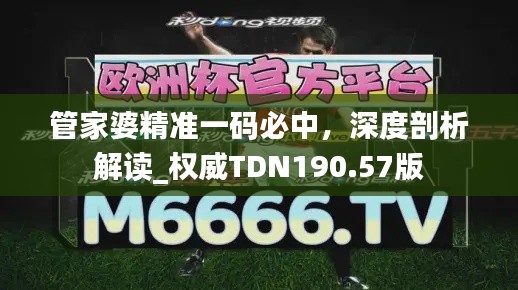 管家婆精準(zhǔn)一碼必中，深度剖析解讀_權(quán)威TDN190.57版