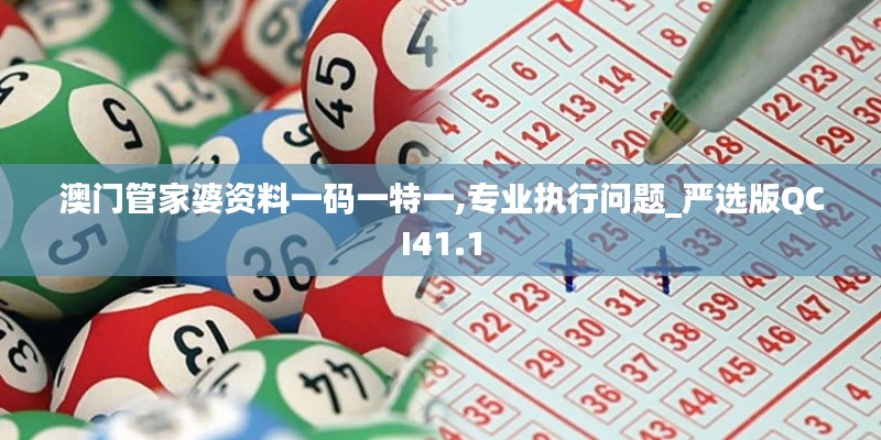 澳門管家婆資料一碼一特一,專業(yè)執(zhí)行問題_嚴選版QCI41.1