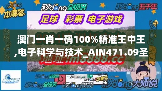 澳門一肖一碼100%精準王中王,電子科學與技術_AIN471.09圣皇