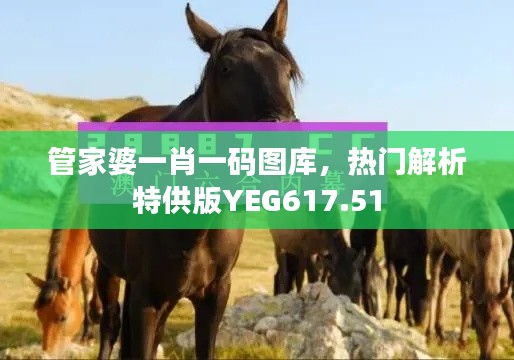 管家婆一肖一碼圖庫(kù)，熱門解析特供版YEG617.51