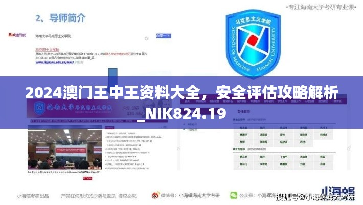 2024澳門王中王資料大全，安全評(píng)估攻略解析_NIK824.19