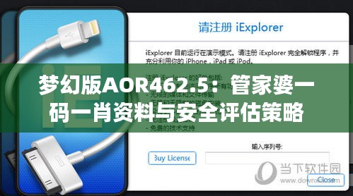 夢幻版AOR462.5：管家婆一碼一肖資料與安全評估策略