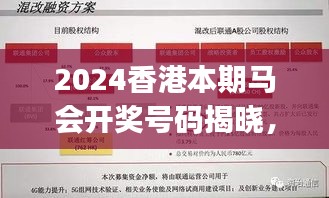 2024香港本期馬會(huì)開獎(jiǎng)號(hào)碼揭曉，安全策略深度剖析——專家視角KJY655.48