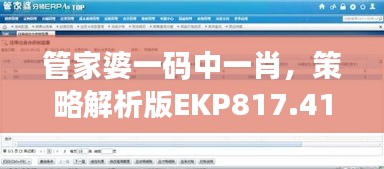 管家婆一碼中一肖，策略解析版EKP817.41測(cè)試版