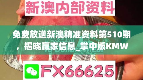 免費(fèi)放送新澳精準(zhǔn)資料第510期，揭曉贏家信息_掌中版KMW387.73