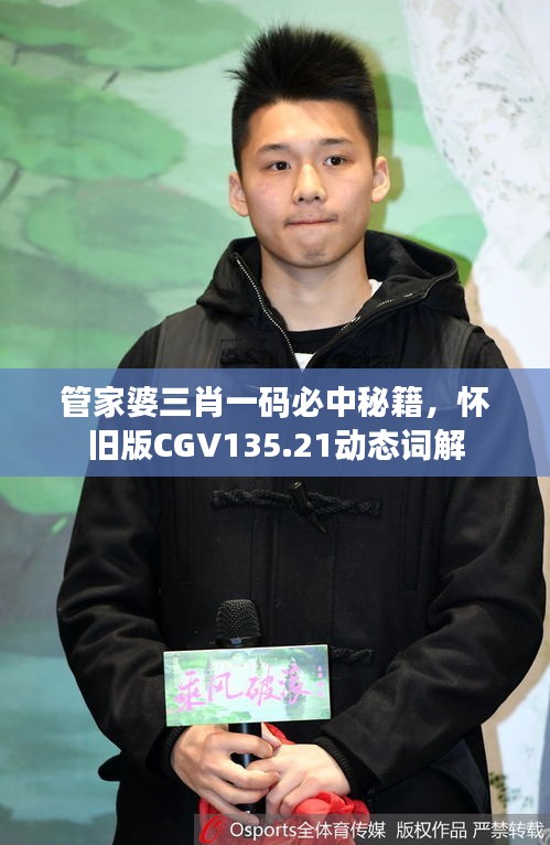 管家婆三肖一碼必中秘籍，懷舊版CGV135.21動(dòng)態(tài)詞解