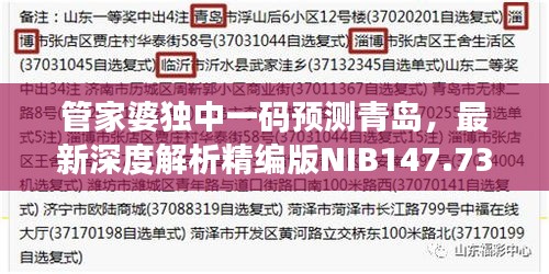 管家婆獨中一碼預(yù)測青島，最新深度解析精編版NIB147.73