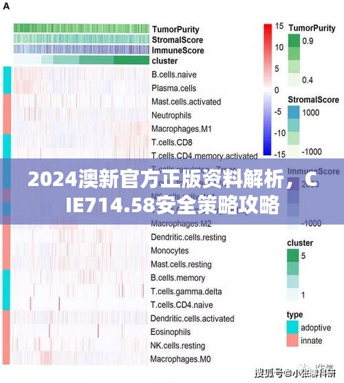 2024澳新官方正版資料解析，CIE714.58安全策略攻略