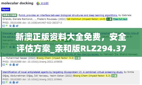 新澳正版資料大全免費(fèi)，安全評(píng)估方案_親和版RLZ294.37