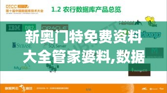 新奧門特免費資料大全管家婆料,數(shù)據(jù)資料解釋落實_夢幻版OJX730.28