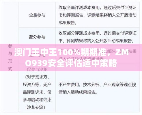 澳門王中王100%期期準，ZMO939安全評估適中策略