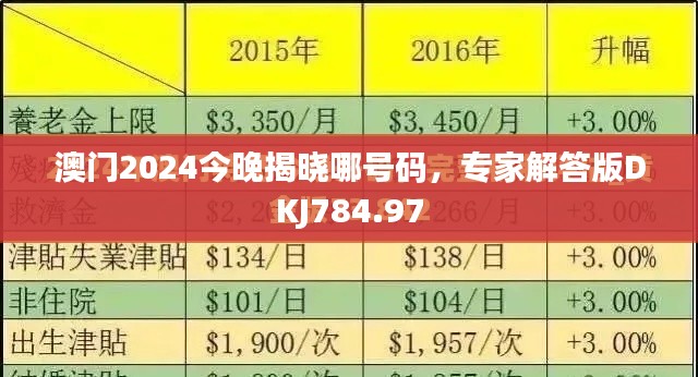 澳門2024今晚揭曉哪號(hào)碼，專家解答版DKJ784.97