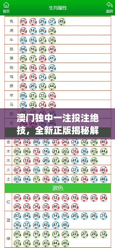 澳門獨中一注投注絕技，全新正版揭秘解析_GBL206.5通用版