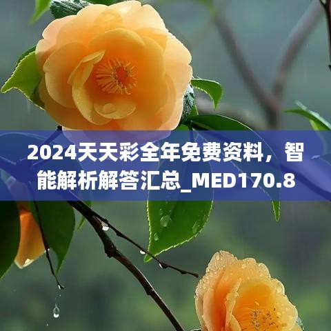 2024天天彩全年免費資料，智能解析解答匯總_MED170.88版