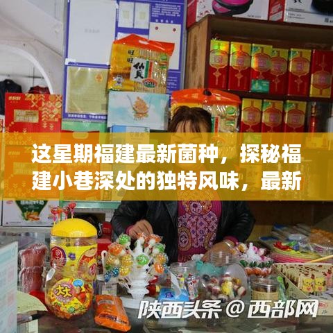 福建小巷深處的獨特風味，最新菌種小店之旅探秘記