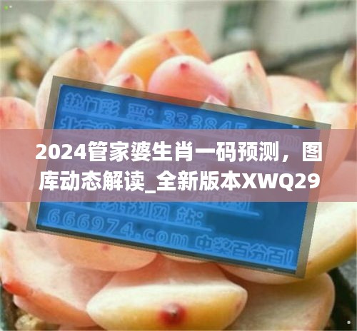 2024管家婆生肖一碼預(yù)測(cè)，圖庫(kù)動(dòng)態(tài)解讀_全新版本XWQ290.47