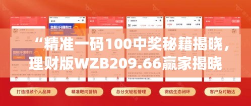 “精準一碼100中獎秘籍揭曉，理財版WZB209.66贏家揭曉”