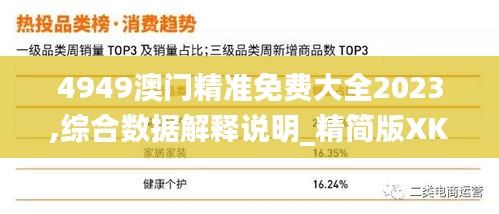 4949澳門精準(zhǔn)免費大全2023,綜合數(shù)據(jù)解釋說明_精簡版XKI95.77