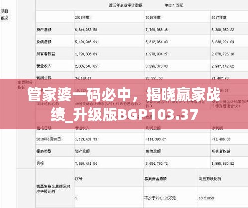 管家婆一碼必中，揭曉贏家戰(zhàn)績_升級版BGP103.37