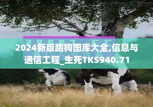 2024新版跑狗圖庫大全,信息與通信工程_生死TKS940.71