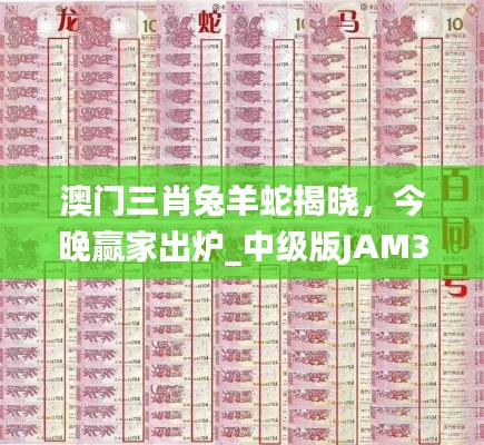 澳門三肖兔羊蛇揭曉，今晚贏家出爐_中級(jí)版JAM324.11